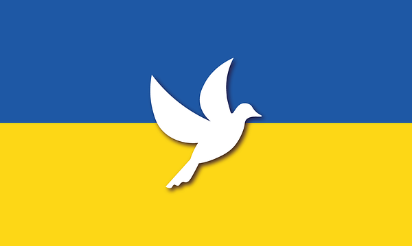 Flagge der Ukraine mit einer weißen Taube